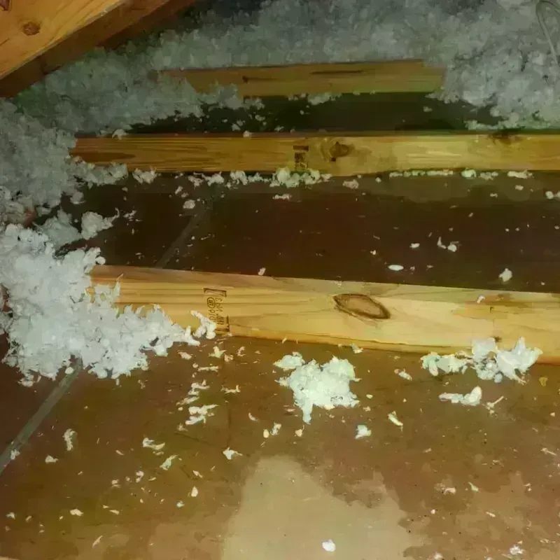 Attic Water Damage in Easton, CA