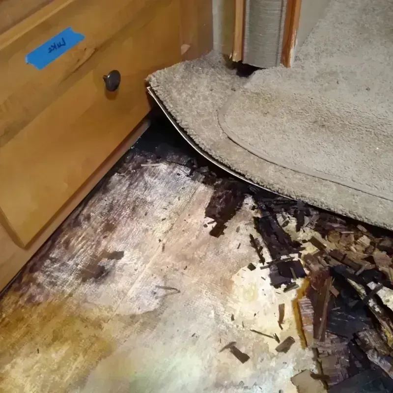 Wood Floor Water Damage in Easton, CA